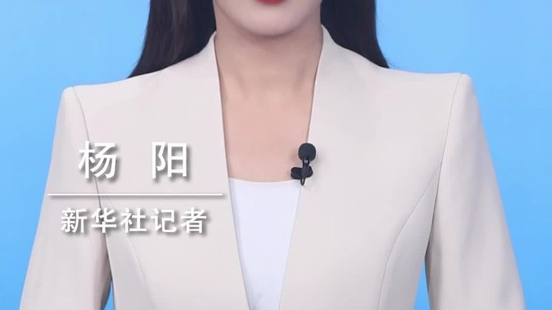 数据服务厂家：揭秘其联系方式与收费标准